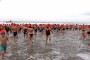 Thumbs/tn_Nieuwjaarsduik Nederzandt 2018 059.jpg